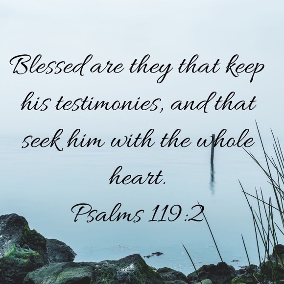 Meet your Posher, Alonna - Picture 1 of 4